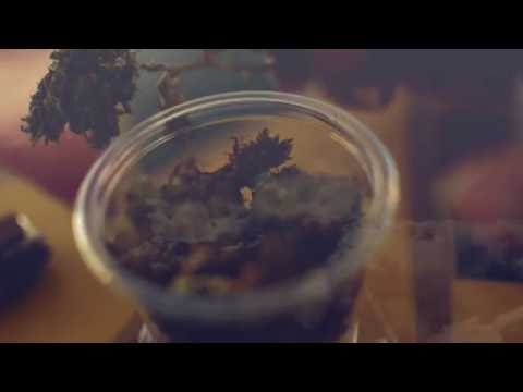 FYAH ROIALL - GET HIGH (lyric video)