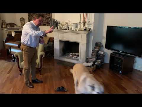 Kuba i Lucek Strzyczkowscy