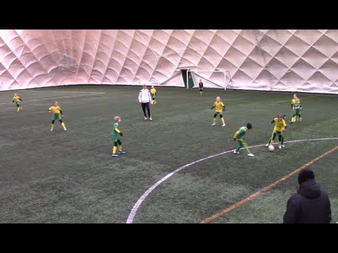 Ilves T11 - Ilves P10