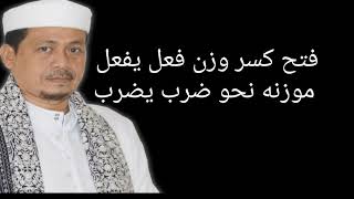 Download lagu Adem banget denger suara abuya kh ahmad qurtubi jaelani || wajan dan maujun sulasi mujarod mp3 Download lagu Adem banget denger suara abuya kh ahmad qurtubi jaelani || wajan dan maujun sulasi mujarod mp3