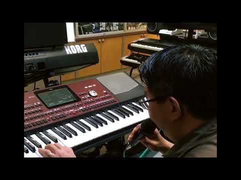 KORG Pa700 is Now In CK Music!