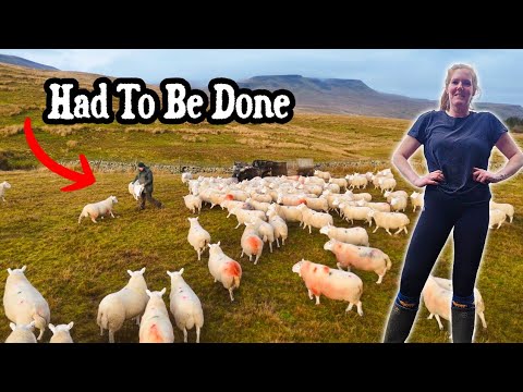 It Had To Be Done… Winter Farming Isn’t Glamorous