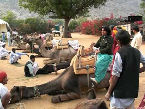 Proper camel riding technique