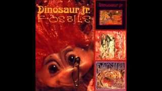 Dinosaur Jr. - Chunks