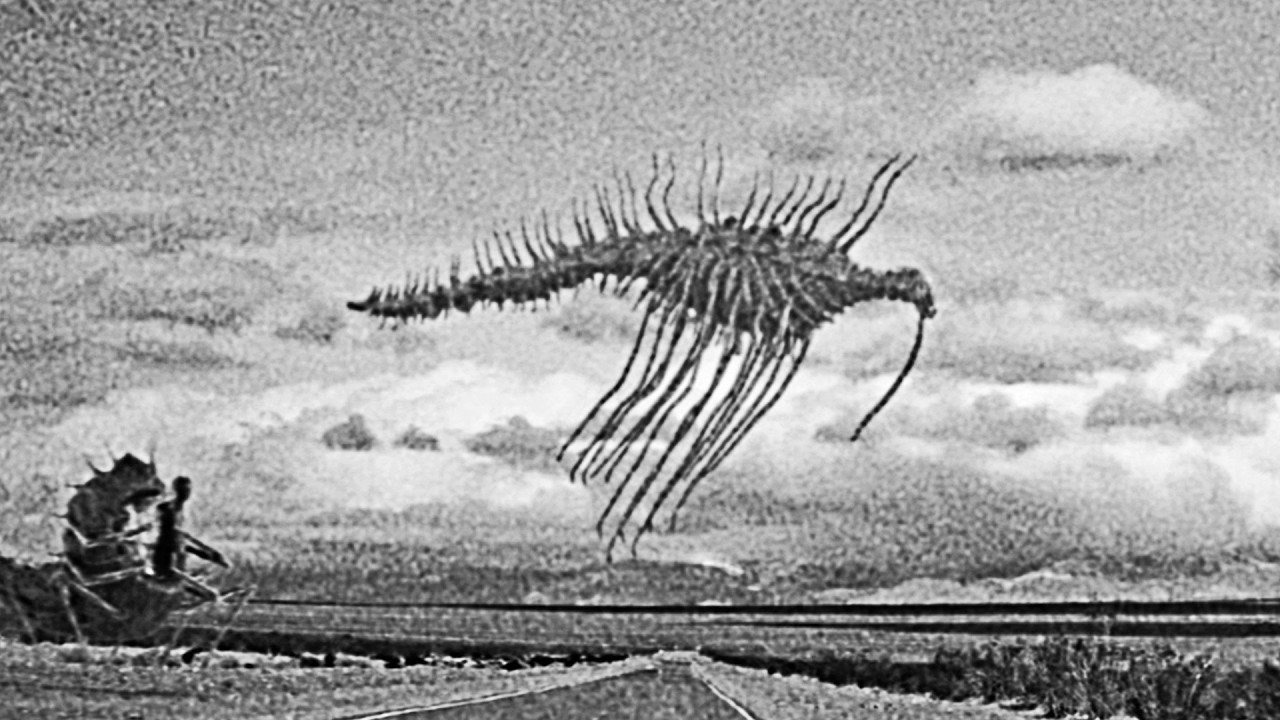 quiet apocalypse - retaliation (part II)