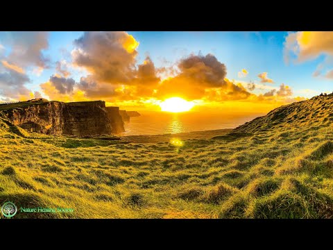 The Best Good Morning Music 🥰 Boost Positive Euphoric Zen Energy 528Hz