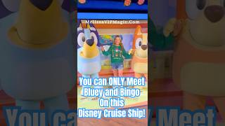 ✨ You can ONLY Meet Bluey and Bingo on this Didney Cruise Ship! Wonder Australia!