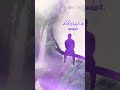 Shortvideo T Rajendar