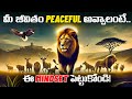 7 Powerful Ways To Build A Peaceful Mindset Voice Of Telugu