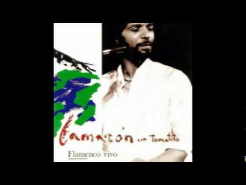 download lagu mp3 mp4 Camaron Flamenco Vivo, download lagu Camaron Flamenco Vivo gratis, unduh video klip Camaron Flamenco Vivo