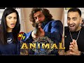 ANIMAL OFFICIAL TRAILER REACTION! : Ranbir Kapoor | Rashmika M, Anil K, Bobby D | Sandeep Vanga
