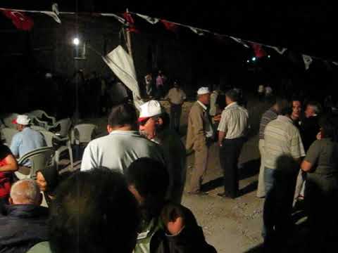 2008 Şenlik
