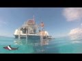 Dive Bermuda 2013
