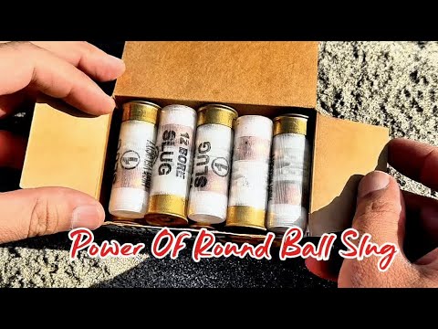 How Powerful is slug Rounds #hunting #Shotgun #trendingvideo #sports 