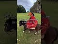 Dog with horse#dog #horse #animals #pets #funny