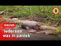 Baby die gewond raakte door vuurwerk in Breda ligt in brandwondencentrum | Omroep Brabant