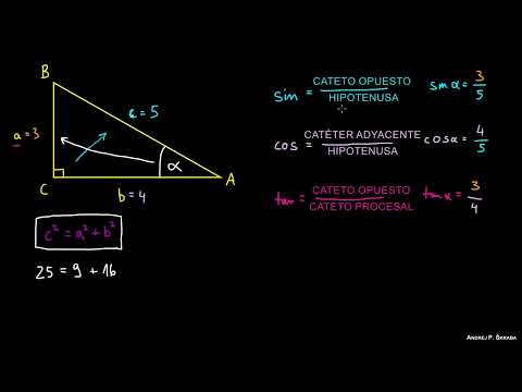Funciones Trigonométricas Básicas
