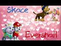 Paw patrol Skace and Evershall love story