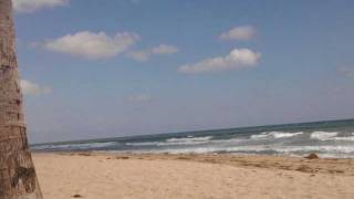 Horse - God's Home Movie