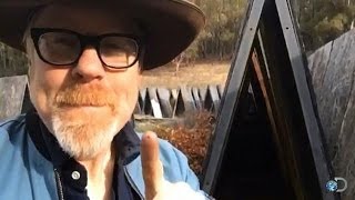 Gunfire, Galactica and Ungulates | MythBusters