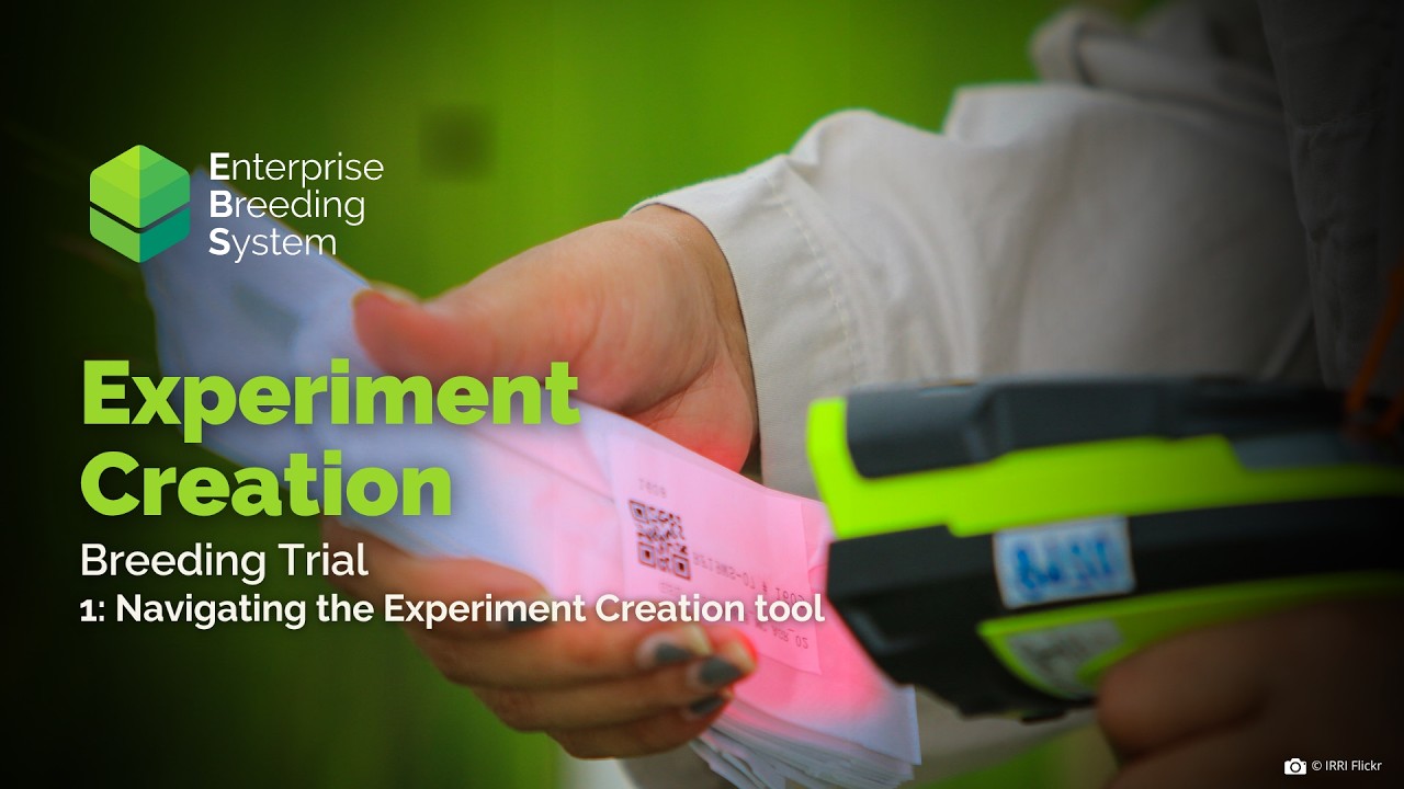 EBS Tutorial: Experiment Creation (Breeding Trial P1)