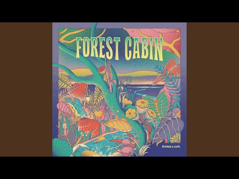 Video thumbnail for Forest Cabin