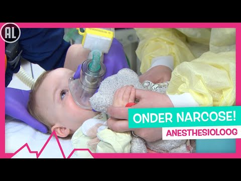 BUISJES PLAATSEN & AMANDELEN KNIPPEN 🏥 - TOPDOKS