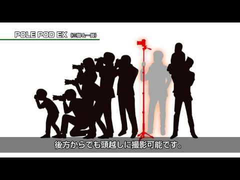 一脚 Pole Pod EX FLUIDHEAD(ポールポッド EX フリュードヘッド 一脚 Pole Pod EX FLUIDHEAD(ポールポッド EX フリュードヘッド
