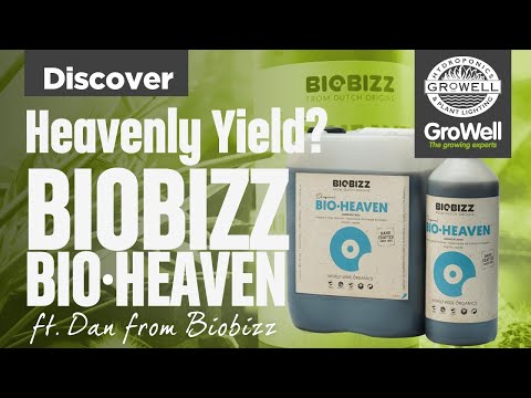 Biobizz Bio-Heaven ft. Dan from Biobizz | DISCOVER | How to get heavenly yield?