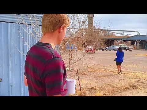 Thunder Island x Breaking Bad