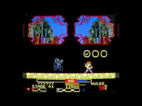 Maiden’s Extreme Fist “BUN-GA-RUA” (2024, MSX2, Tōji Murakata, Retromixis Games)