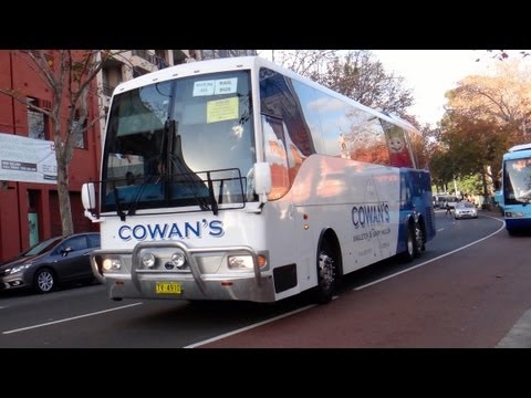 Cowan's TV 4910 - MAN A51 24.410 (Manual/Coach Design)