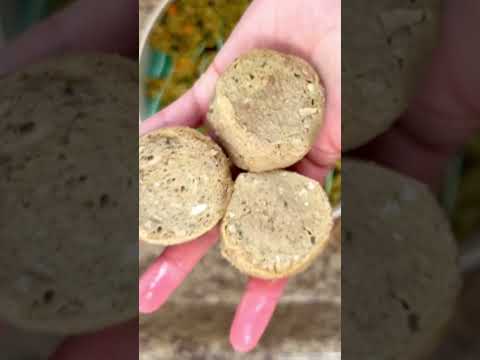 Changing my dog’s food! 🐶How I transition to raw dog food