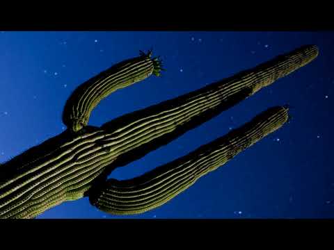 DJ Jon Doe - Where Beauty Sleeps