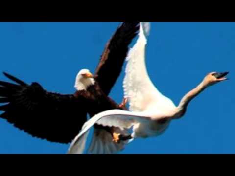 Being With U video thumbnail