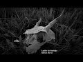 Lucifer In Starlight Full Album Psychedelic Heavy Drones Church Organ Fuzz Guitar Drop Tuning