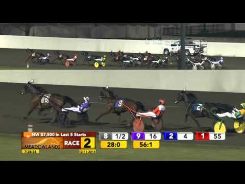 Meadowlands December 11, 2015 - Race 2 - You Rock My World