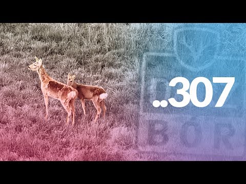 Darz Bór zapowiedź odcinka 307