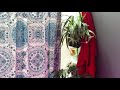 ASMR Shower Bath Water Humming Bain Francais Canada No Talking