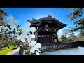 Harmony At The Japanese Garden With Impressive Chokushi Mon Gate Kew Royal Botanic Gardens