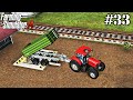FS 14 Timelapse 33 Selling Corn Mowing Grass Rapeseed And Wheat Harvest