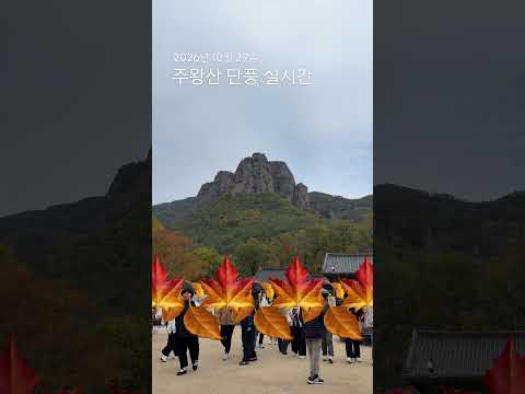 주왕산 단풍 실시간