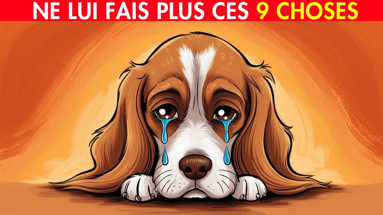 9 choses qu'un chien ne pardonnera JAMAIS ! 🔥