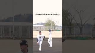 オリックス宮崎キャンプ　山本選手と山岡選手のキャッチボール　#オリックスバファローズ #BS2023 #投手 #オリックスキャンプ