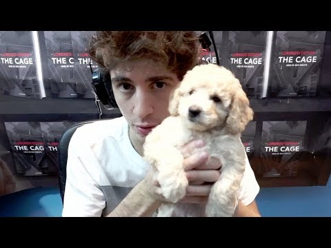 Ho... preso un cane, vi presento SAM!