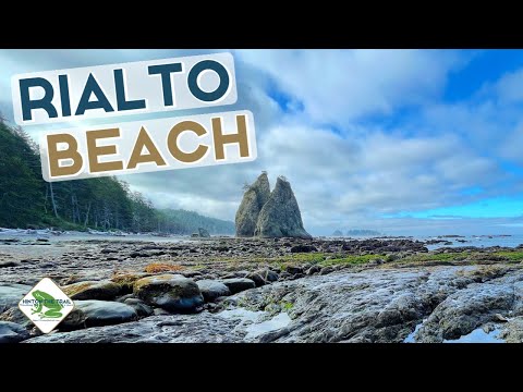 The Best Beach at Olympic National Park | Family Travel Olympic Peninsula