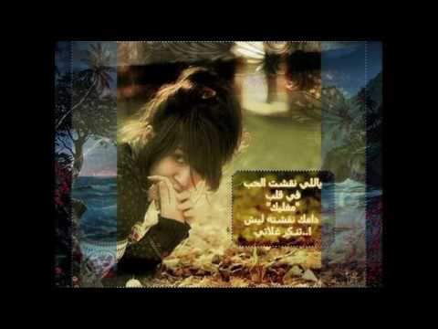 بشار السرحان سيره حبي