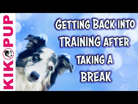 What is Clicker Training