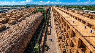 Extremely Fast Construction Of Wooden Houses - 24 hours. Robotic Construction and Timber Technology