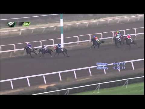 Carrera N°10, 02 de agosto 2015. Club Hípico de Santiago